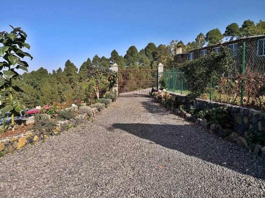 Finca Los Tamarillos Санта-Крус-де-Тенеріфе Екстер'єр фото